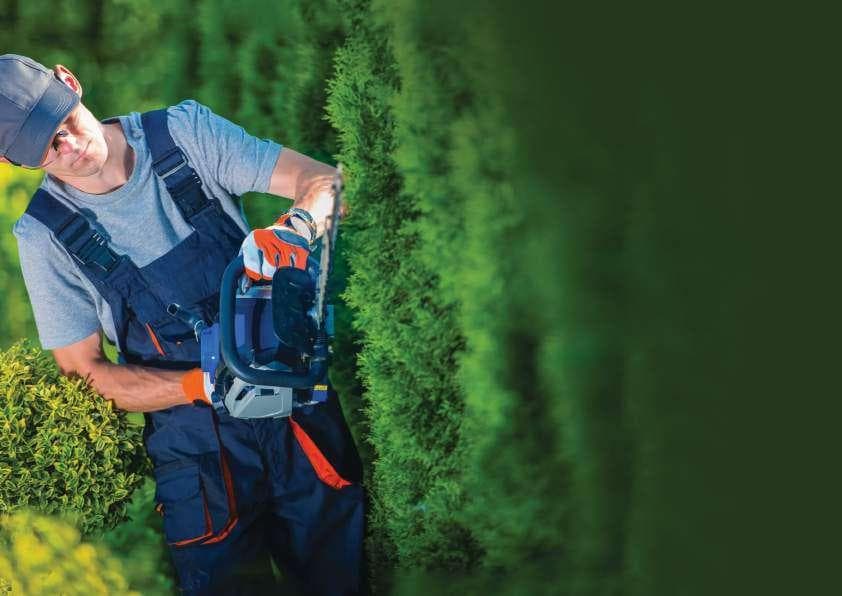Landscape Maintenance Services