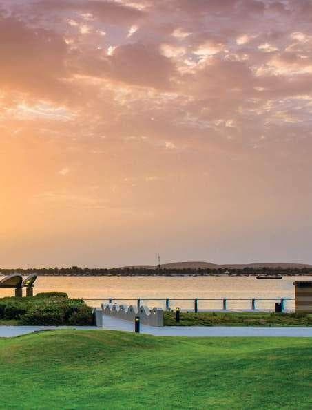Shayea Landscape Premium Project